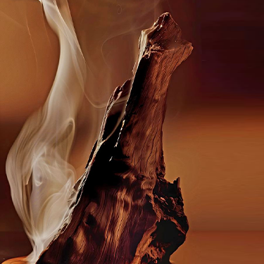 العناية والراحة